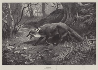 Uitgeput door Archibald Thorburn